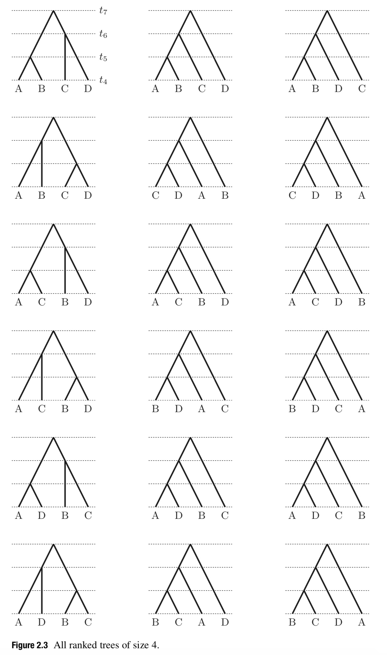 Figure 2.3